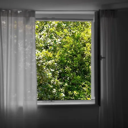 Apartment Fani With Free Private Parking *